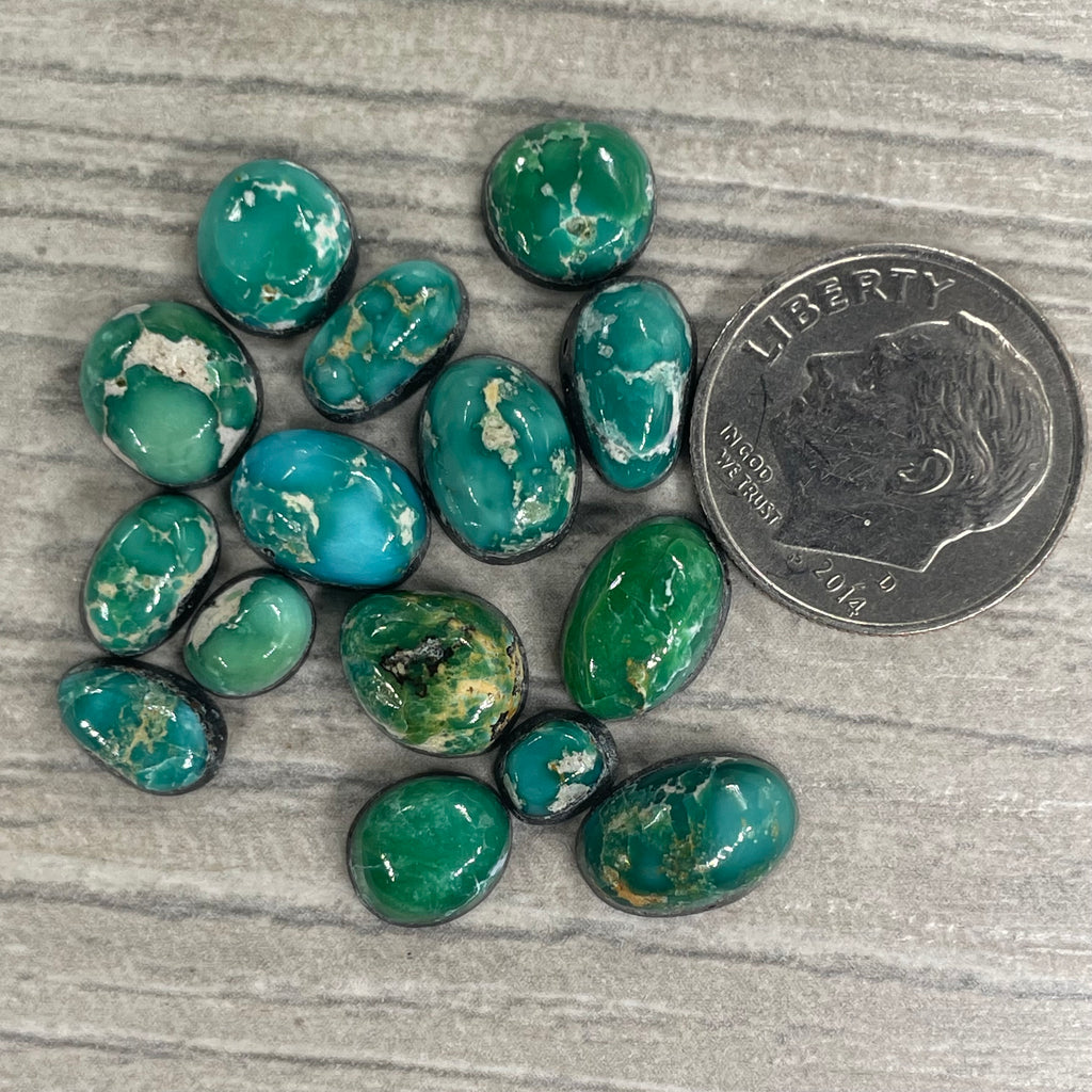 Sonoran Emerald Valley Minis (M)