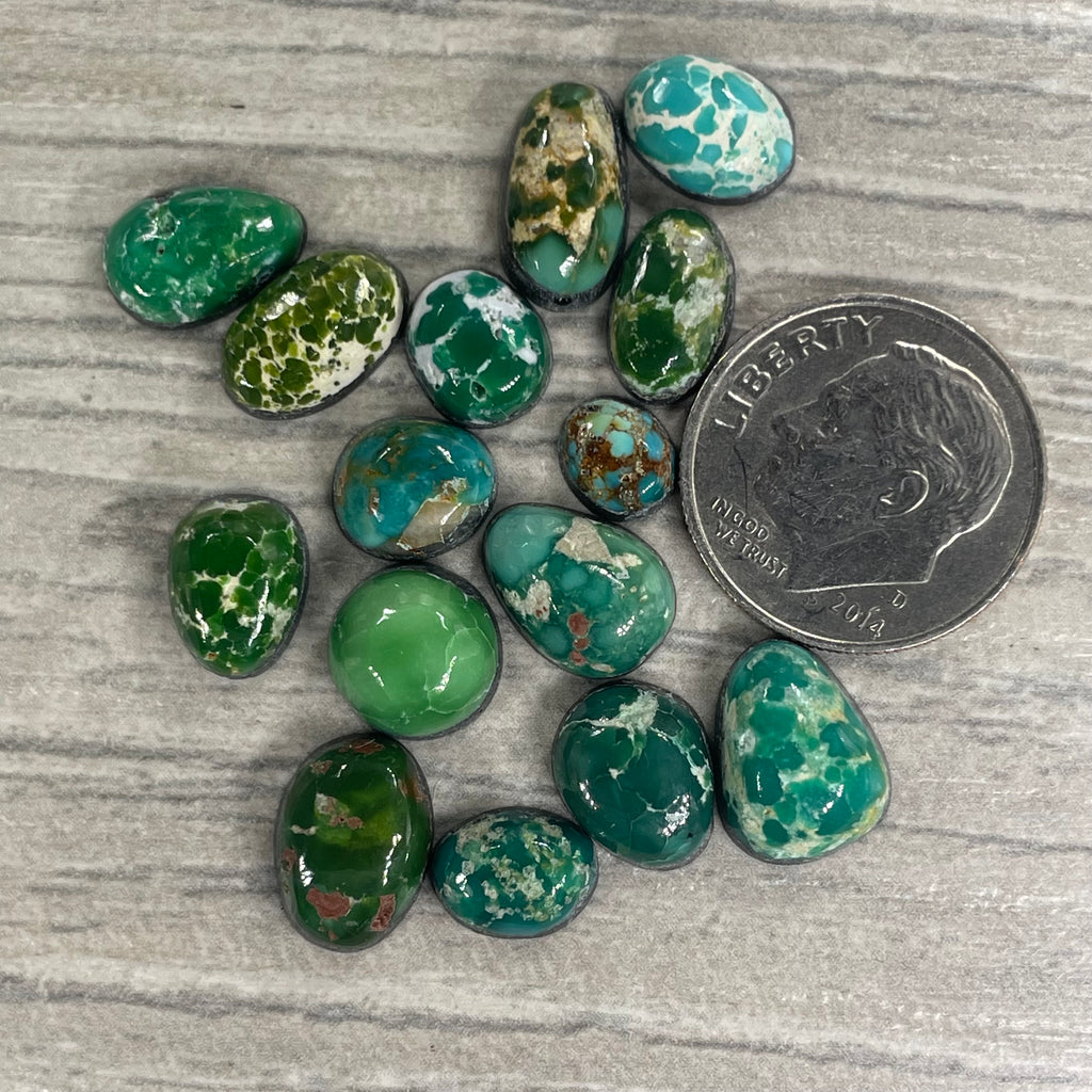 Sonoran Emerald Valley Minis (M)