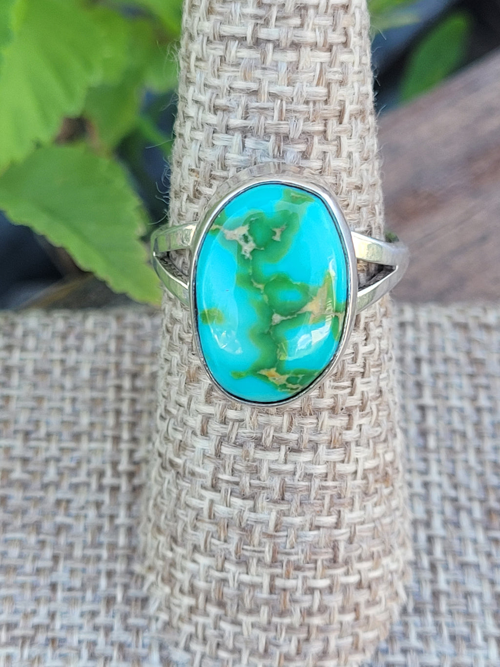Sonoran ring 8