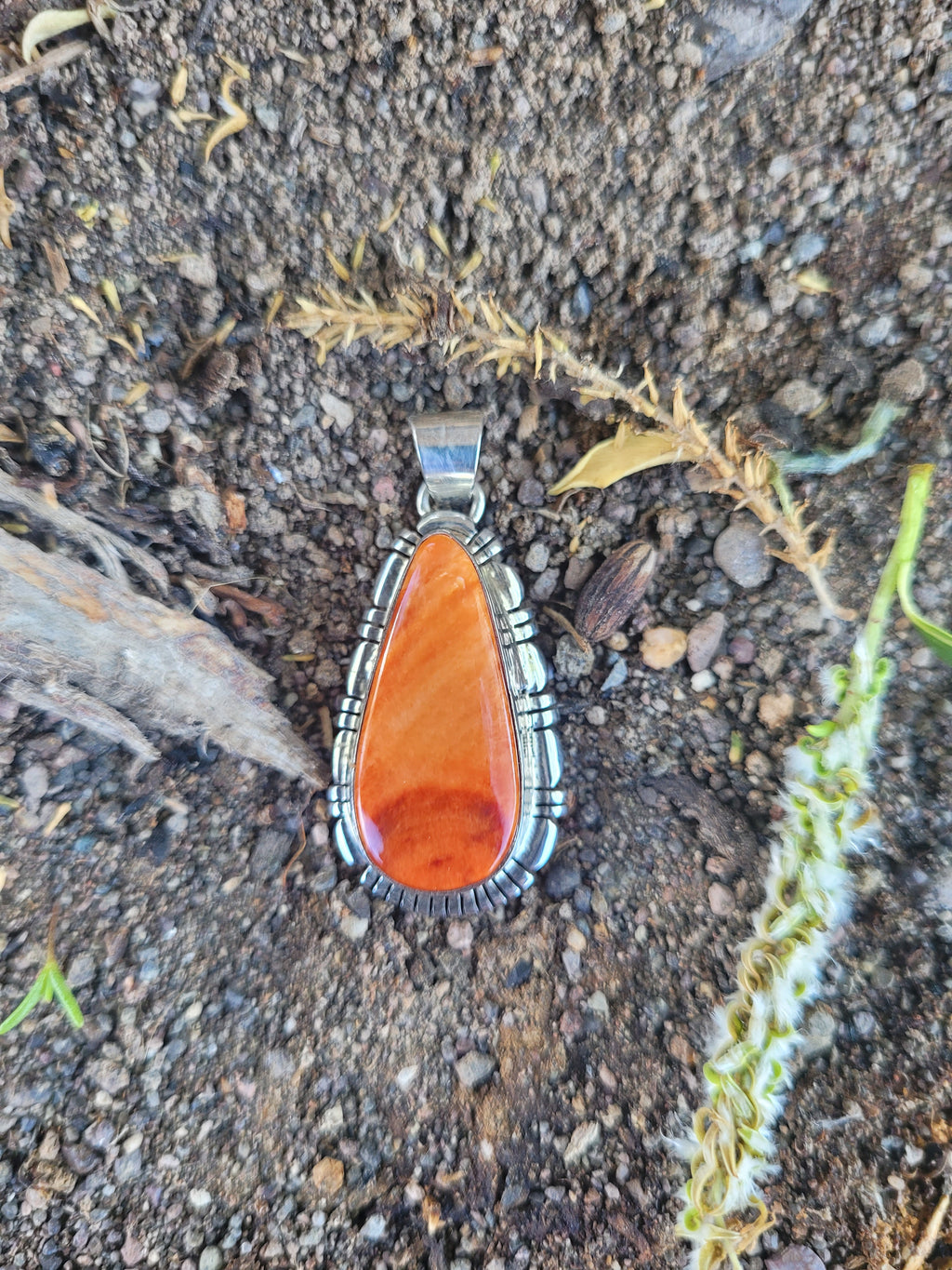Orange Spiney Oyster