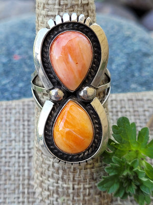 Orange Spiney Oyster 8 1/2