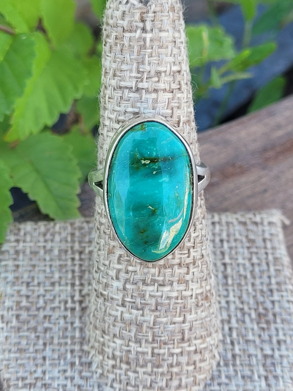 Sonoran ring 7
